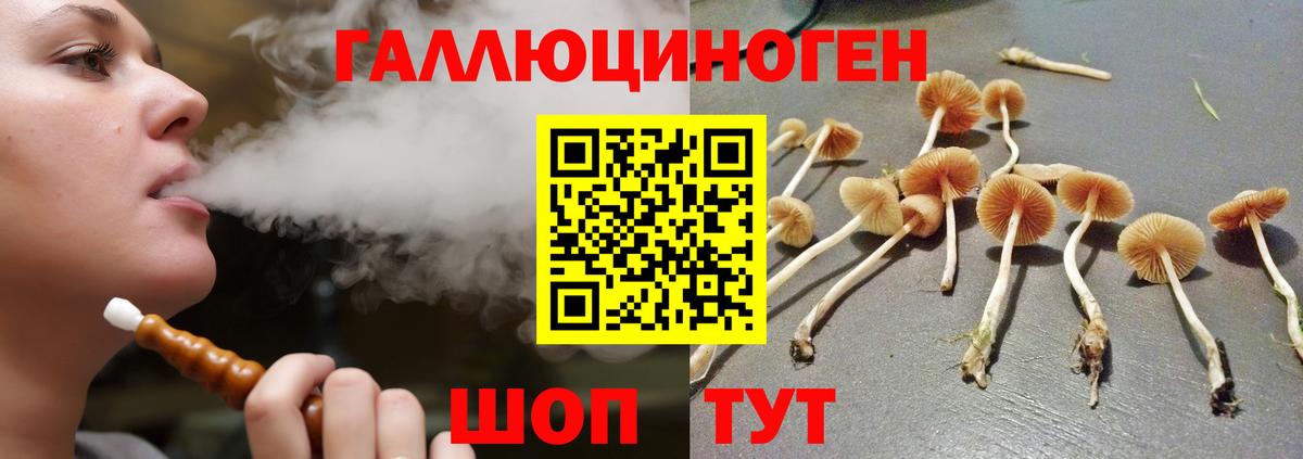 Кострома  Псилоцибиновые грибы MAGIC MUSHROOMS  Вход с VPN 